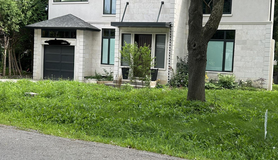 Black and white before