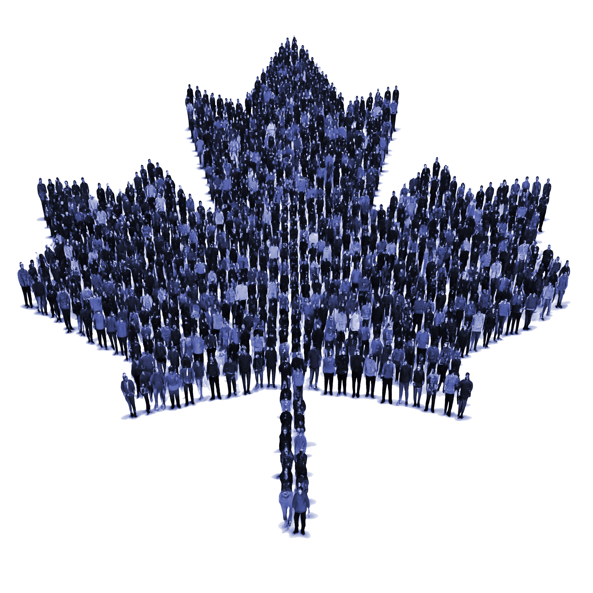 Snow Flake made with People